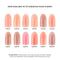 Christrio Speed Builder Gel Colour Chart